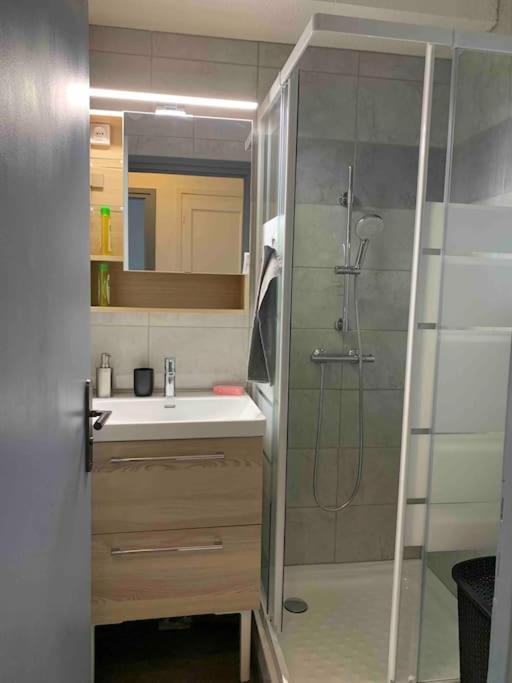 קאנט אן רוסיון Appartement Cosy Confort Parking Clim Wifi Linge Acces Piscine Non Inclus מראה חיצוני תמונה