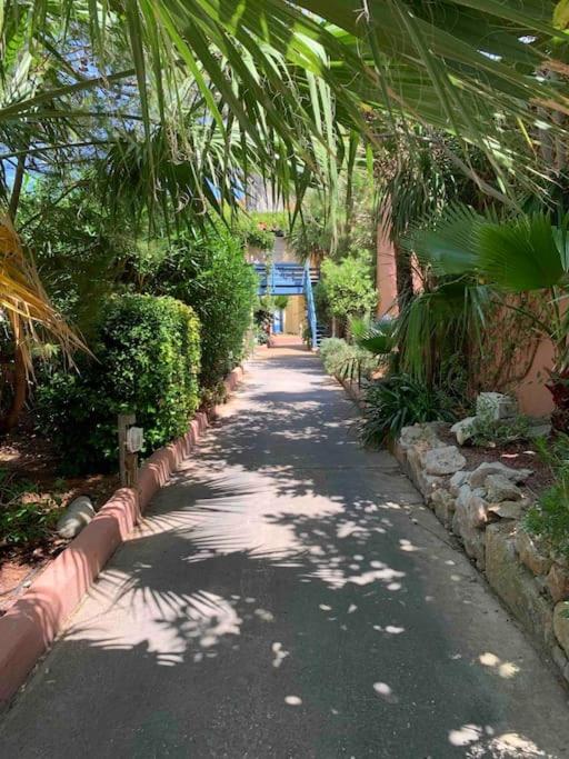קאנט אן רוסיון Appartement Cosy Confort Parking Clim Wifi Linge Acces Piscine Non Inclus מראה חיצוני תמונה