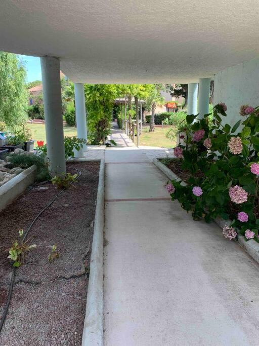 קאנט אן רוסיון Appartement Cosy Confort Parking Clim Wifi Linge Acces Piscine Non Inclus מראה חיצוני תמונה